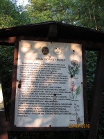 IMG_8907.jpg, 29kB